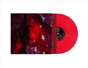 Buy Not Here Not Gone - Transparent Red Vinyl