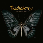 Buy Black Butterfly