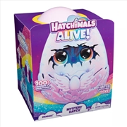 Buy Hatchimals Alive Mystery Hatch Draggle