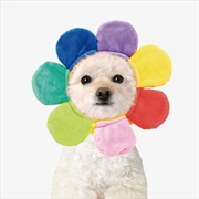 Buy ARTBOX - Rainbow Flower Pet Hat