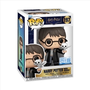 Buy Harry Potter - Harry Potter with Hedwig Pop! Vinyl [RS]
