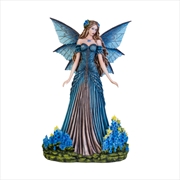 Buy Garden Fairy Lavender