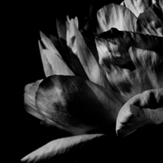 Buy La Ou Passe La Nuit