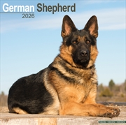 Buy German Shepherd Calendar 2026 Square Dog Breed Wall Calendar - 16 Month