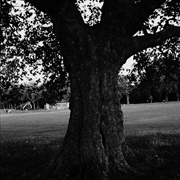 Buy A New Place 2 Drown (Instrumentals)