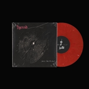 Buy Nets To Catch The Wind