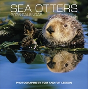 Buy Sea Otters Photographs By Tom