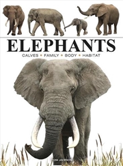 Buy Elephants