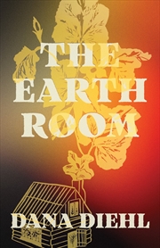 Buy The Earth Room
