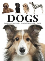 Buy Dogs