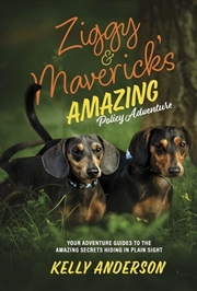 Buy Ziggy And Maverick's Amazing Policy Adventure
