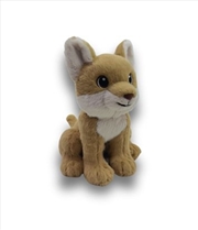 Buy Eco Bub Dingo 18cm