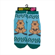 Buy Feet Speak Socks Quokka