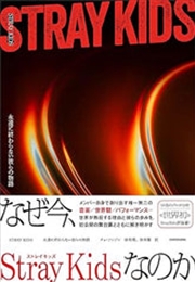 Buy Stray Kids - Their Story Will Never End Japan Review Book