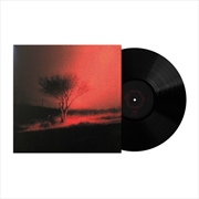 Buy Piss In The Wind