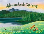 Buy Adirondack Spring