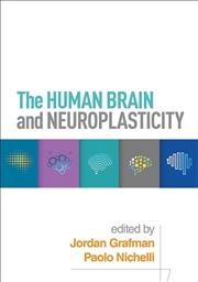 Buy The Human Brain And Neuroplasticity