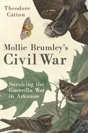 Buy Mollie Brumley's Civil War
