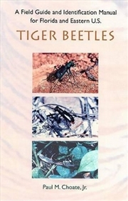Buy A Field Guide And Identification Manual For Florida And Eastern U.S. Tiger Beetles