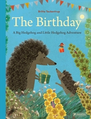 Buy Birthday: A Big Hedgehog and Little Hedgehog Adventure