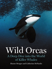Buy Wild Orcas