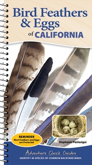 Buy Bird Feathers & Eggs of California