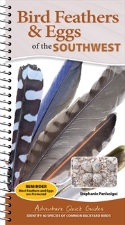 Buy Bird Feathers & Eggs of the Southwest