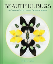 Buy Beautiful Bugs