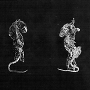 Buy Verschleib Durch Abrieb