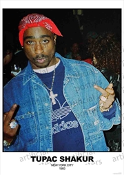 Buy Tupac Shakur - NYC 1996 - Euro Poster