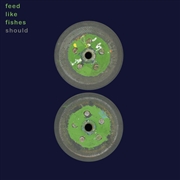 Buy Feed Like Fishes