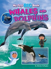 Buy My First BIG Book of WHALES and DOLPHINS