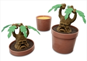 Buy Harry Potter: Mandrake Candle