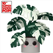 Buy Kawaii Plants - Monstera 10" Pop! Vinyl