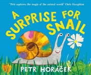 Buy A Surprise For Snail