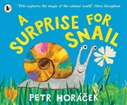 Buy A Surprise For Snail