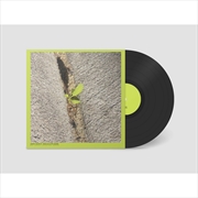 Buy Close-Up On The Outside