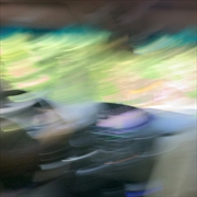 Buy Reckless Driving