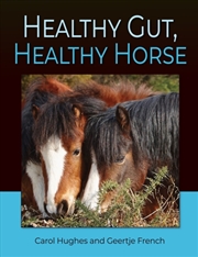 Buy Healthy Gut Healthy Horse