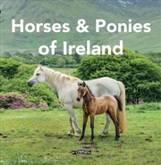Buy Horses and Ponies of Ireland