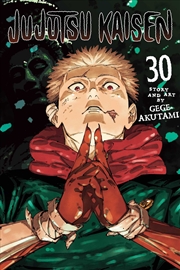 Buy Jujutsu Kaisen, Vol. 30