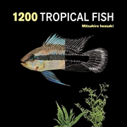 Buy 1200 Tropical Fish: An Illustrated Guide to 1200 Fish Species from Around the World