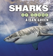 Buy Sharks Up Close