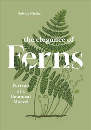 Buy The Elegance Of Ferns