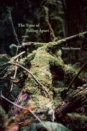 Buy The Time Of Falling Apart