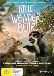 Buy Little Wonder Bear