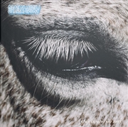 Buy This Is Why We Lost