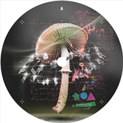 Buy Move 2 The Groove