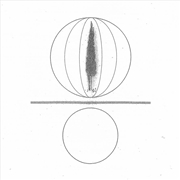 Buy Spheres Collapser