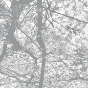 Buy Obliteration Bliss